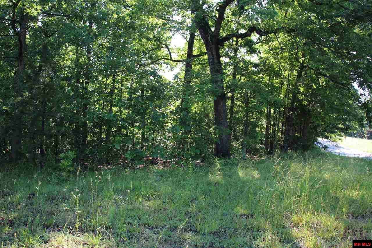 52.6 Acres of Recreational Land for Sale in Yellville, Arkansas