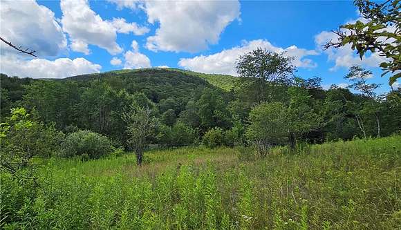 30.2 Acres of Land for Sale in Hardenburgh Town, New York