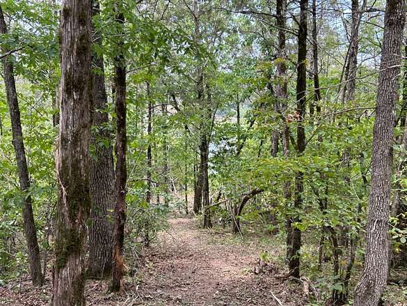 0.25 Acres of Residential Land with Home for Sale in Branson, Missouri