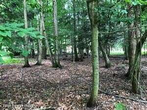 0.59 Acres of Residential Land for Sale in Albrightsville, Pennsylvania