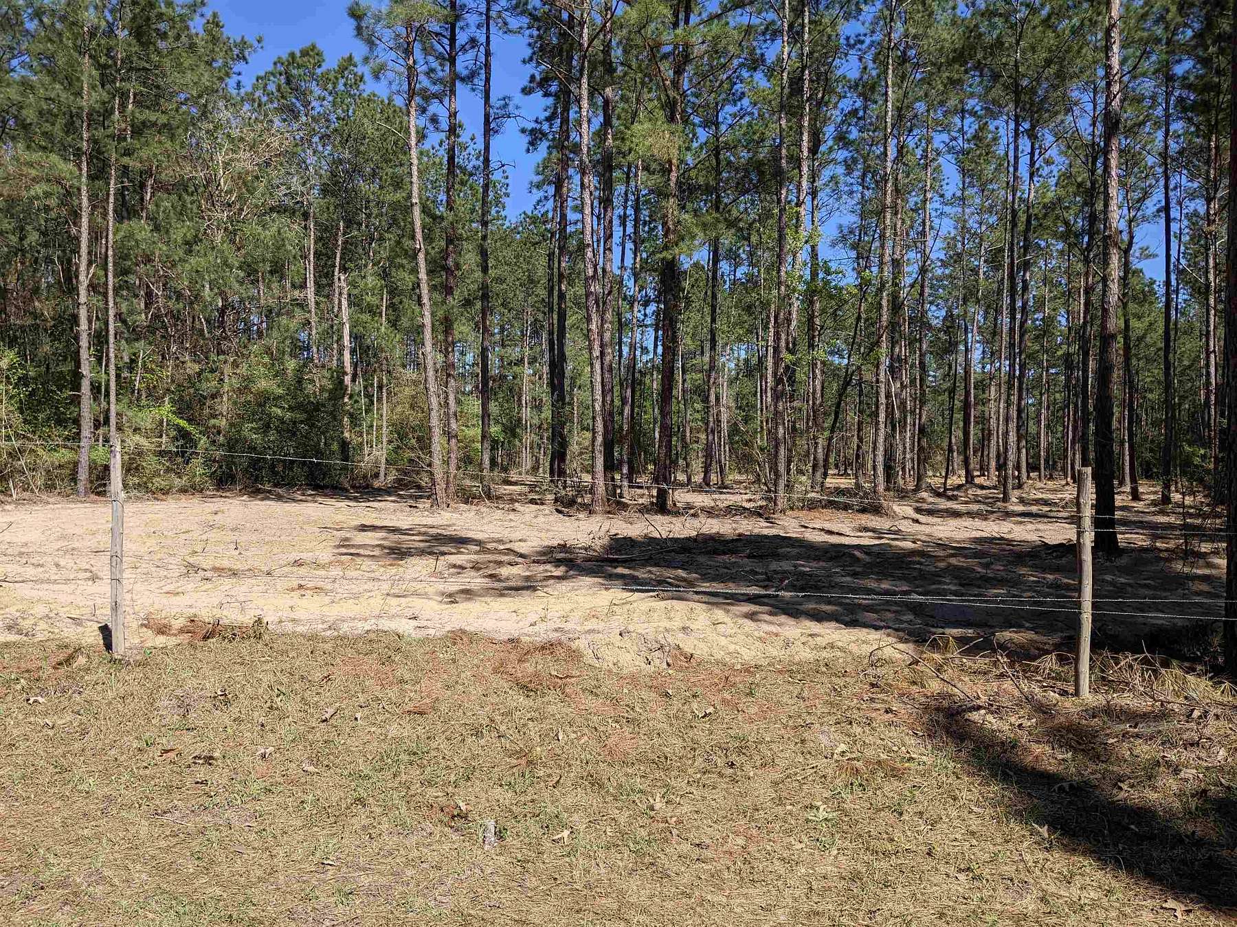 7 Acres of Residential Land for Sale in Call, Texas