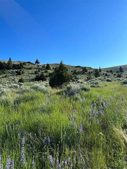 162 Acres of Recreational Land for Sale in Virginia City, Montana