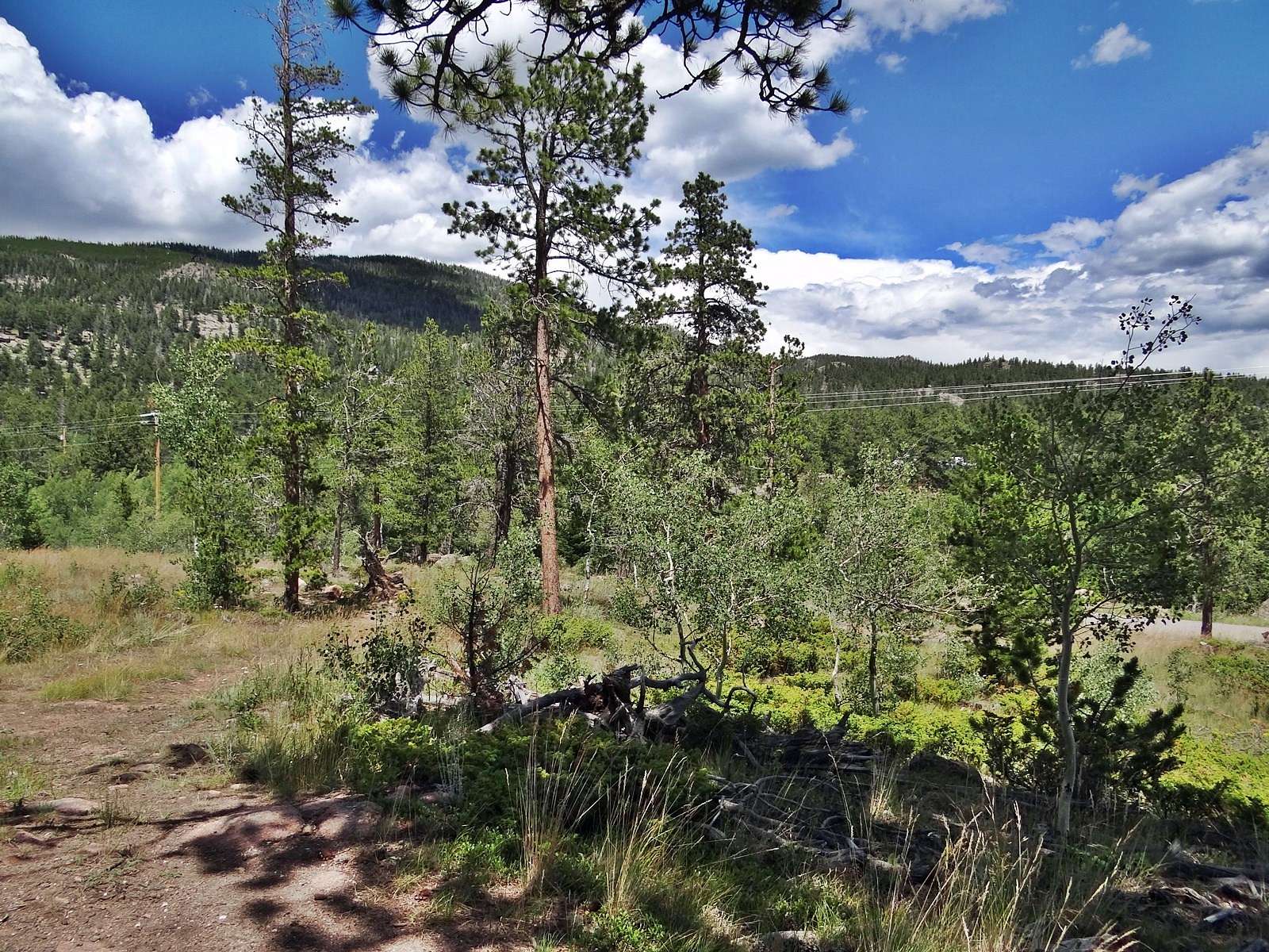1.9 Acres of Residential Land for Sale in Red Feather Lakes, Colorado