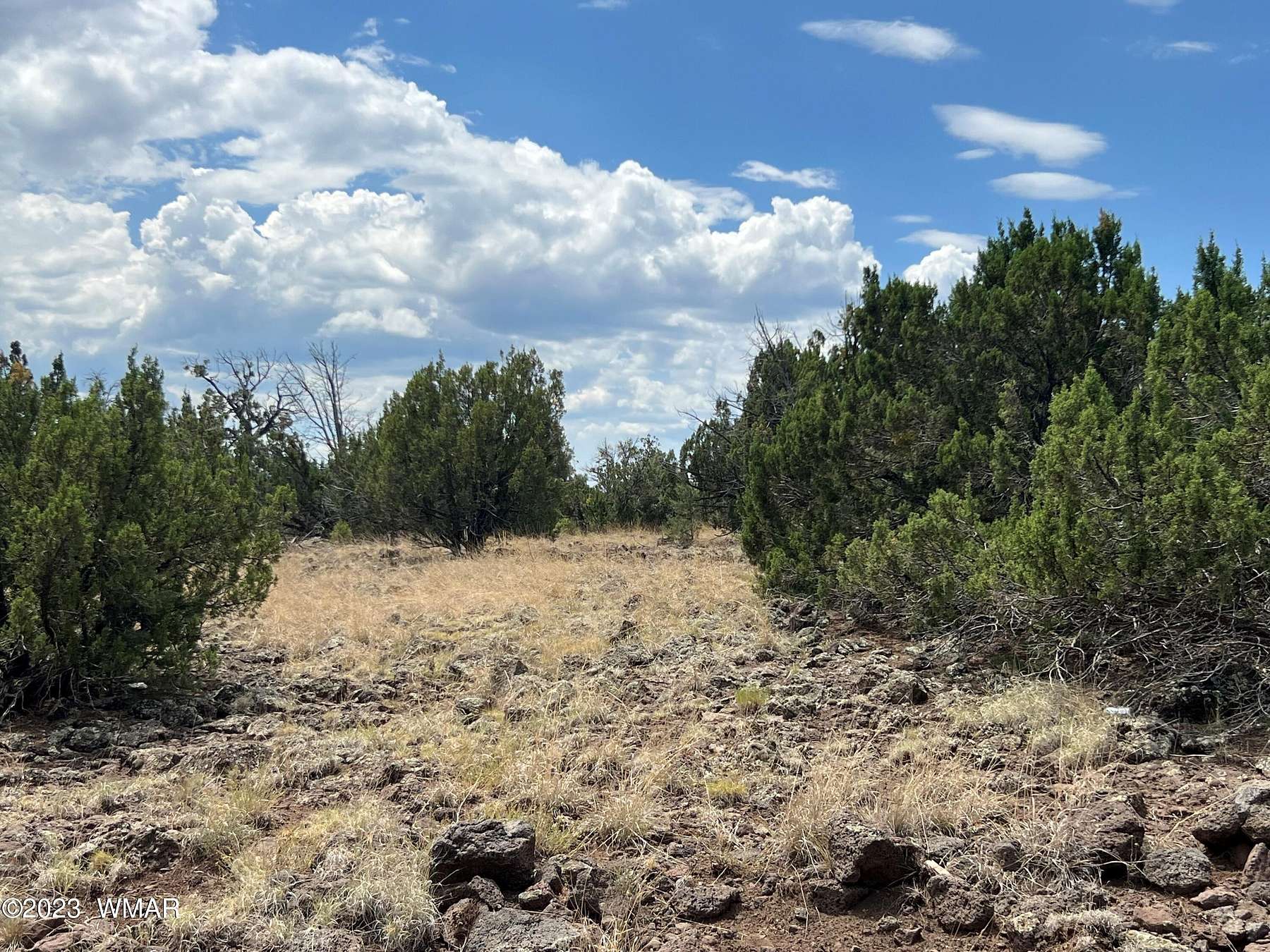 2.3 Acres of Residential Land for Sale in Concho, Arizona