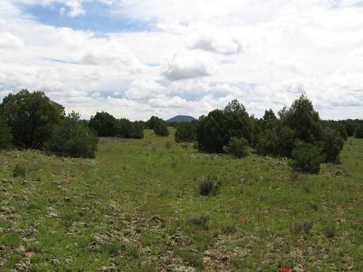 73.2 Acres of Land for Sale in Ramah, New Mexico