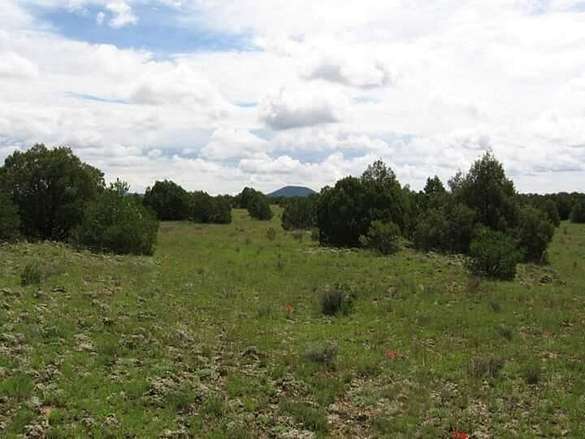 73.2 Acres of Land for Sale in Ramah, New Mexico