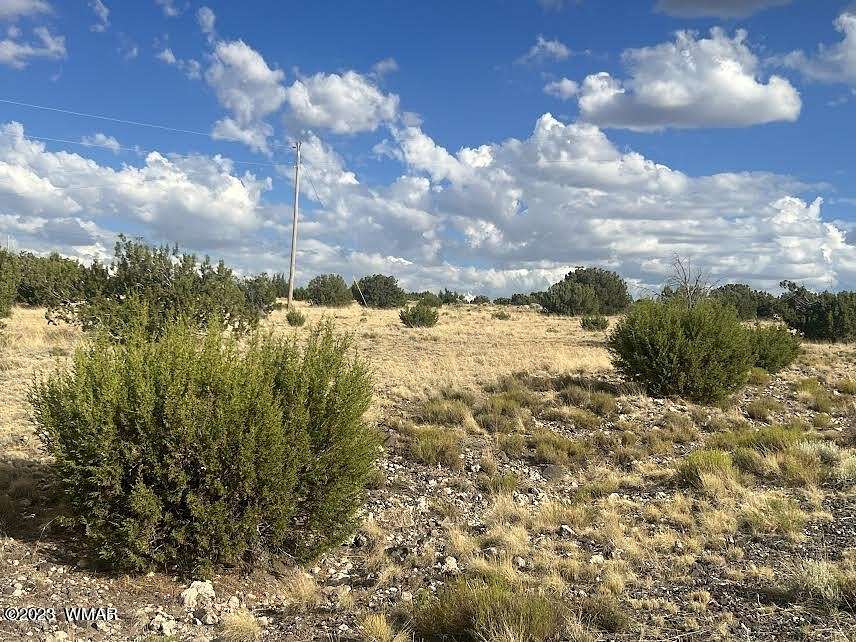 0.26 Acres of Residential Land for Sale in Concho, Arizona