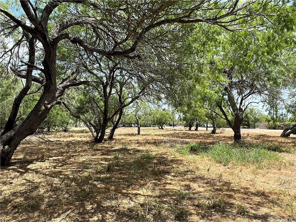 0.85 Acres of Land for Sale in Corpus Christi, Texas