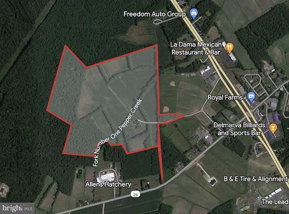 117 Acres of Mixed-Use Land for Sale in Dagsboro, Delaware