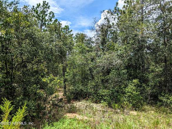 1.1 Acres of Residential Land for Sale in Keystone Heights, Florida