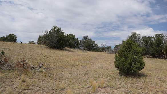25.6 Acres of Land for Sale in Datil, New Mexico