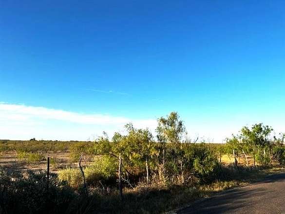 20 Acres of Agricultural Land for Sale in Fort Stockton, Texas