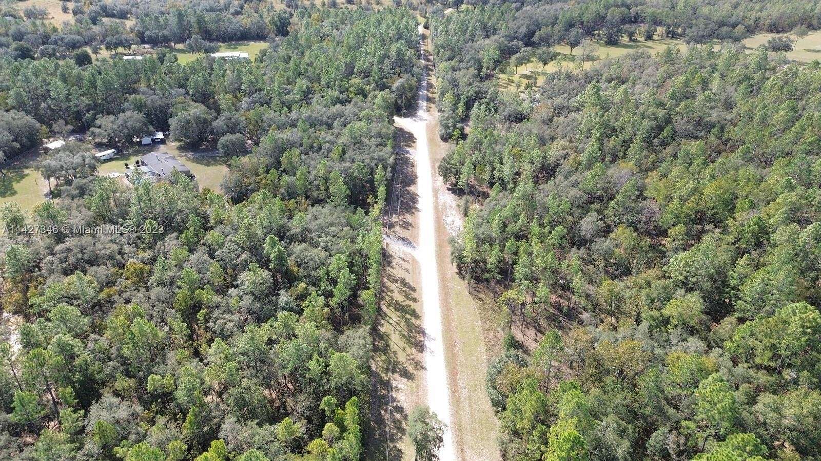 20 Acres of Land for Sale in Williston, Florida