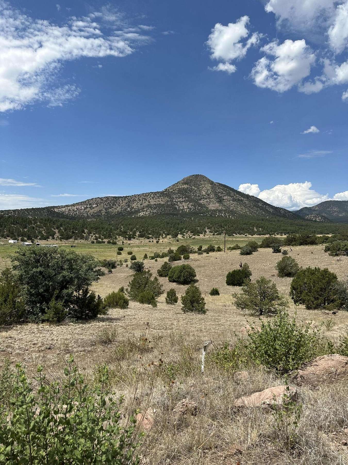 5 Acres of Land for Sale in Datil, New Mexico