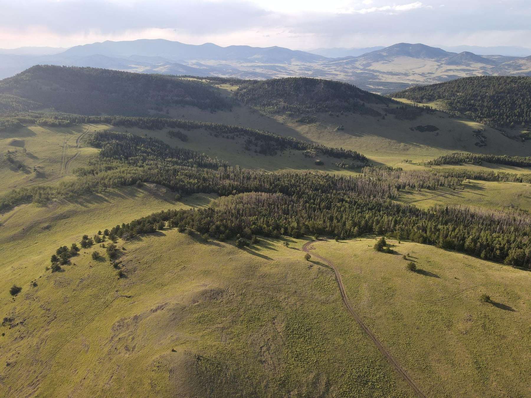 40 Acres of Recreational Land for Sale in Guffey, Colorado