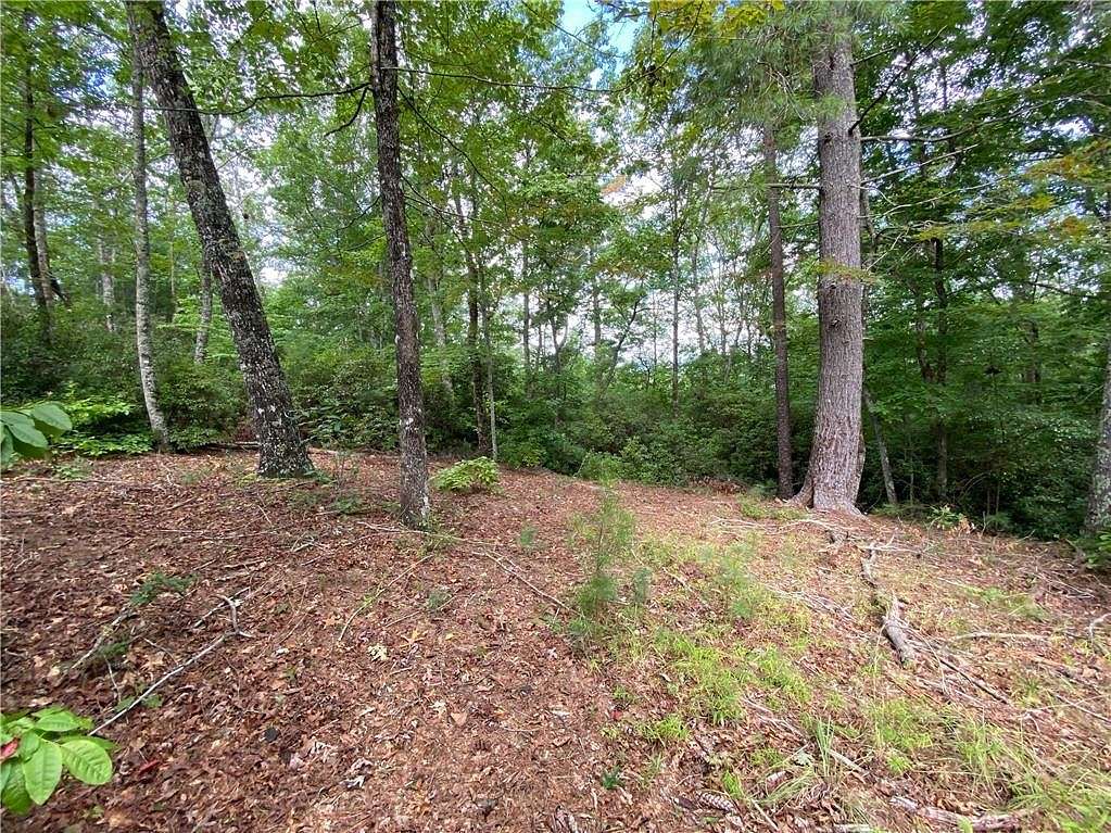 2.5 Acres of Residential Land for Sale in Sunset, South Carolina