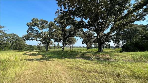 148 Acres of Land for Sale in Chunchula, Alabama
