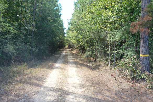 120 Acres of Recreational Land for Sale in Independence, Louisiana
