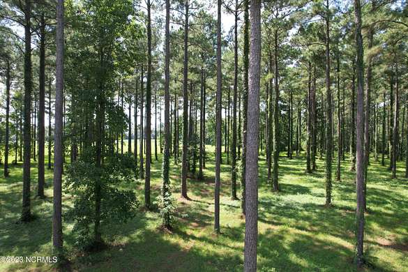 0.88 Acres of Residential Land for Sale in Oriental, North Carolina