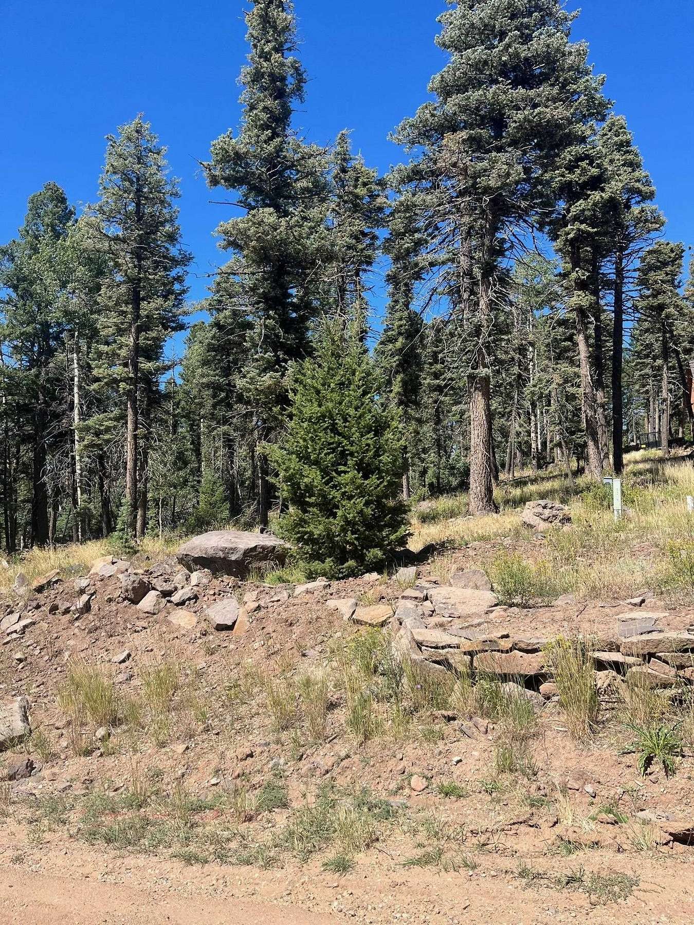 0.86 Acres of Residential Land for Sale in Angel Fire, New Mexico