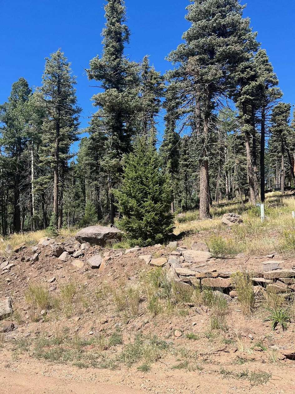 0.86 Acres of Land for Sale in Angel Fire, New Mexico