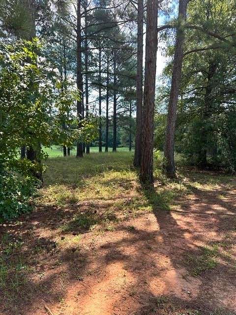 0.53 Acres of Residential Land for Sale in Abbeville, South Carolina
