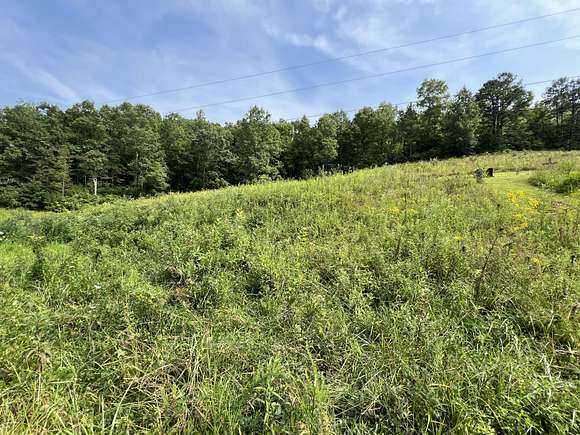 48.62 Acres of Agricultural Land for Sale in Manchester, Kentucky ...