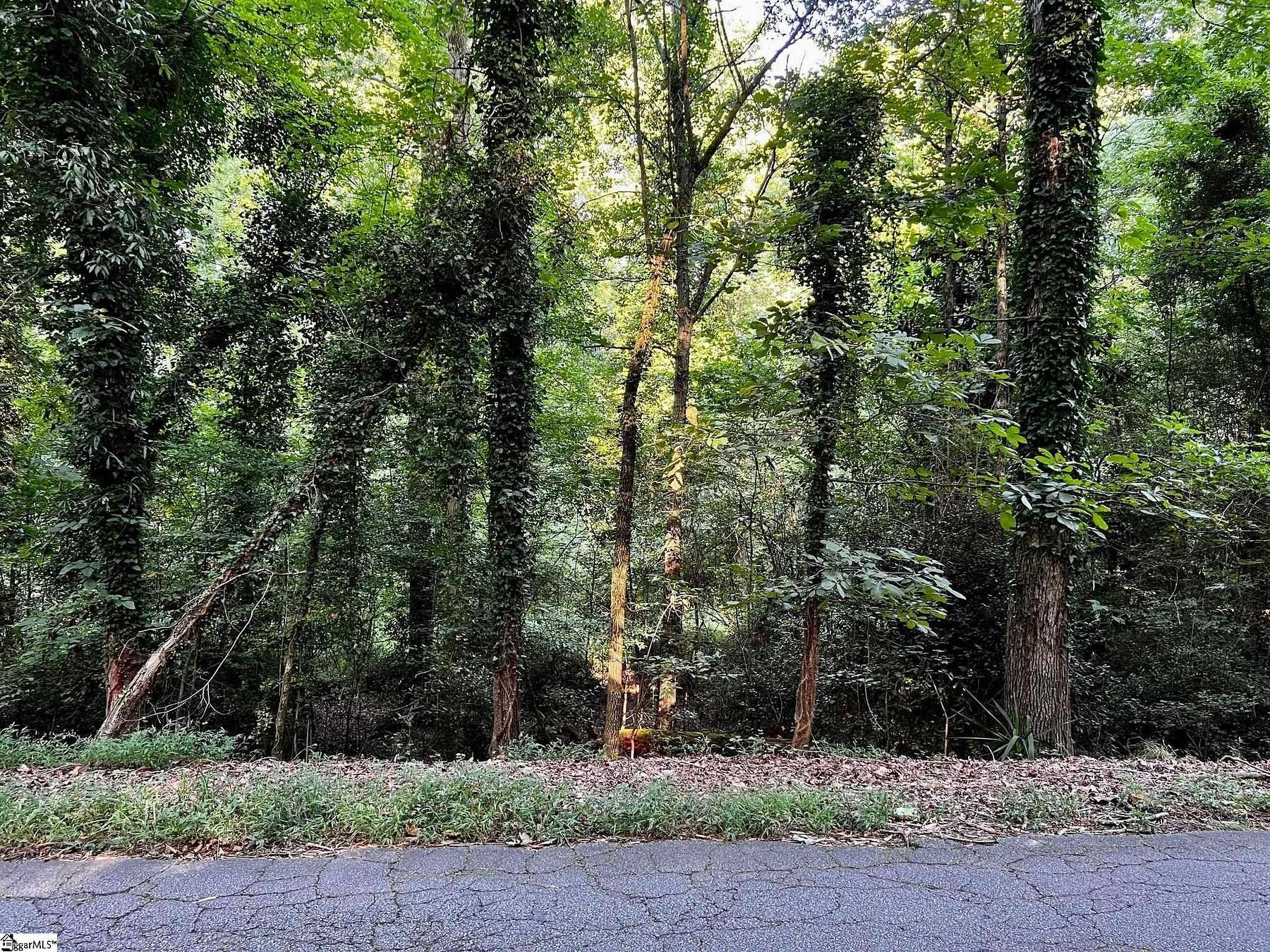 0.48 Acres of Residential Land for Sale in Anderson, South Carolina