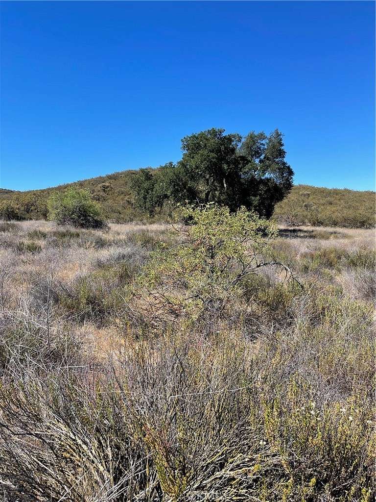 7.5 Acres of Land for Sale in Hemet, California