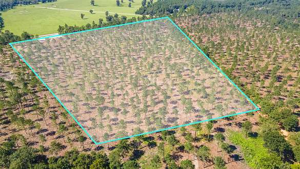 16.5 Acres of Agricultural Land for Sale in Wagener, South Carolina
