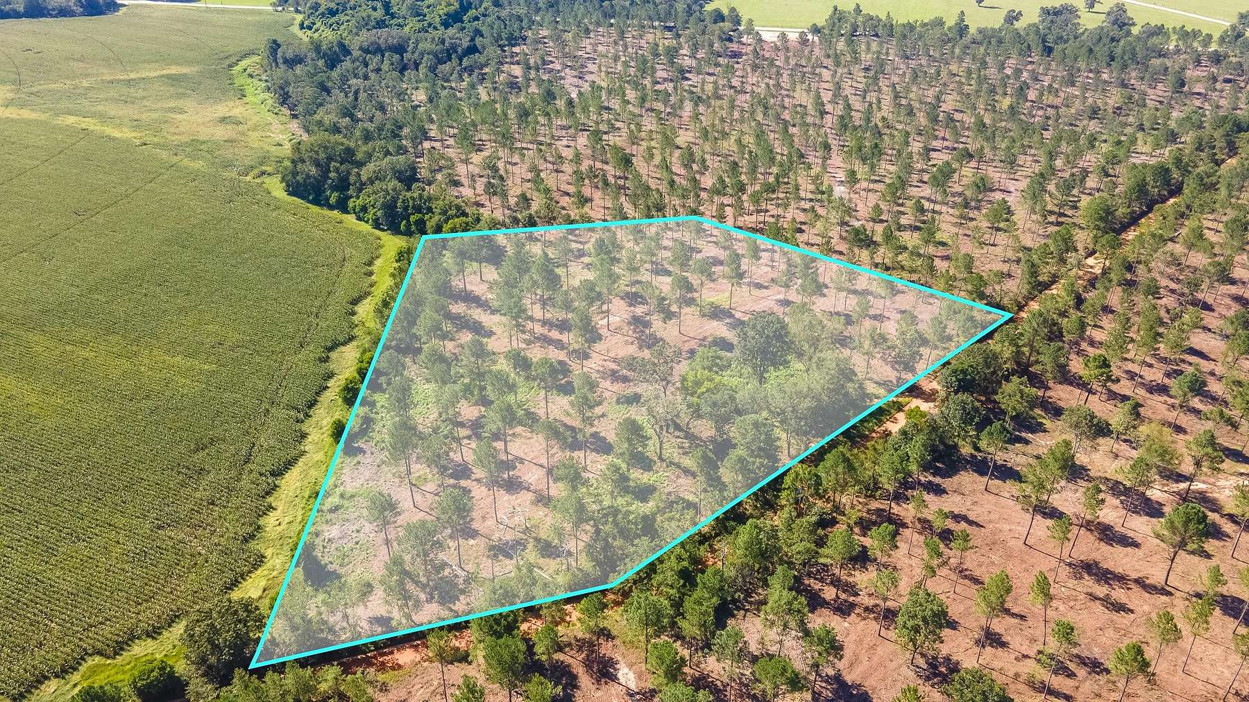 13.2 Acres of Agricultural Land for Sale in Wagener, South Carolina