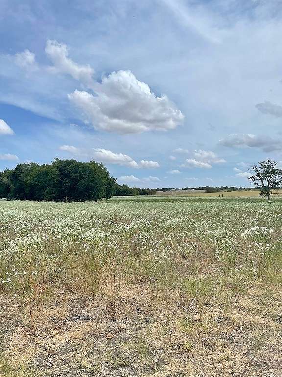 91.7 Acres of Agricultural Land for Sale in Brenham, Texas