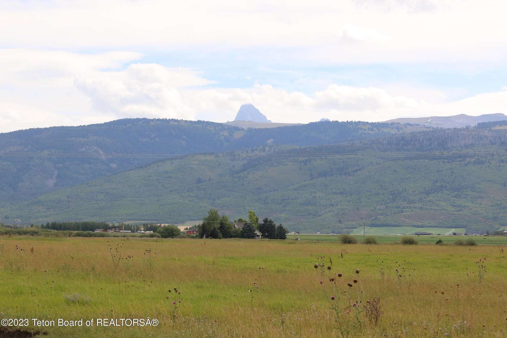 50.6 Acres of Land for Sale in Driggs, Idaho