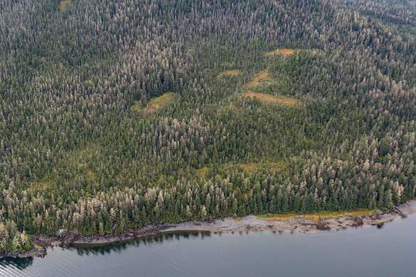 16.8 Acres of Land for Sale in Petersburg, Alaska