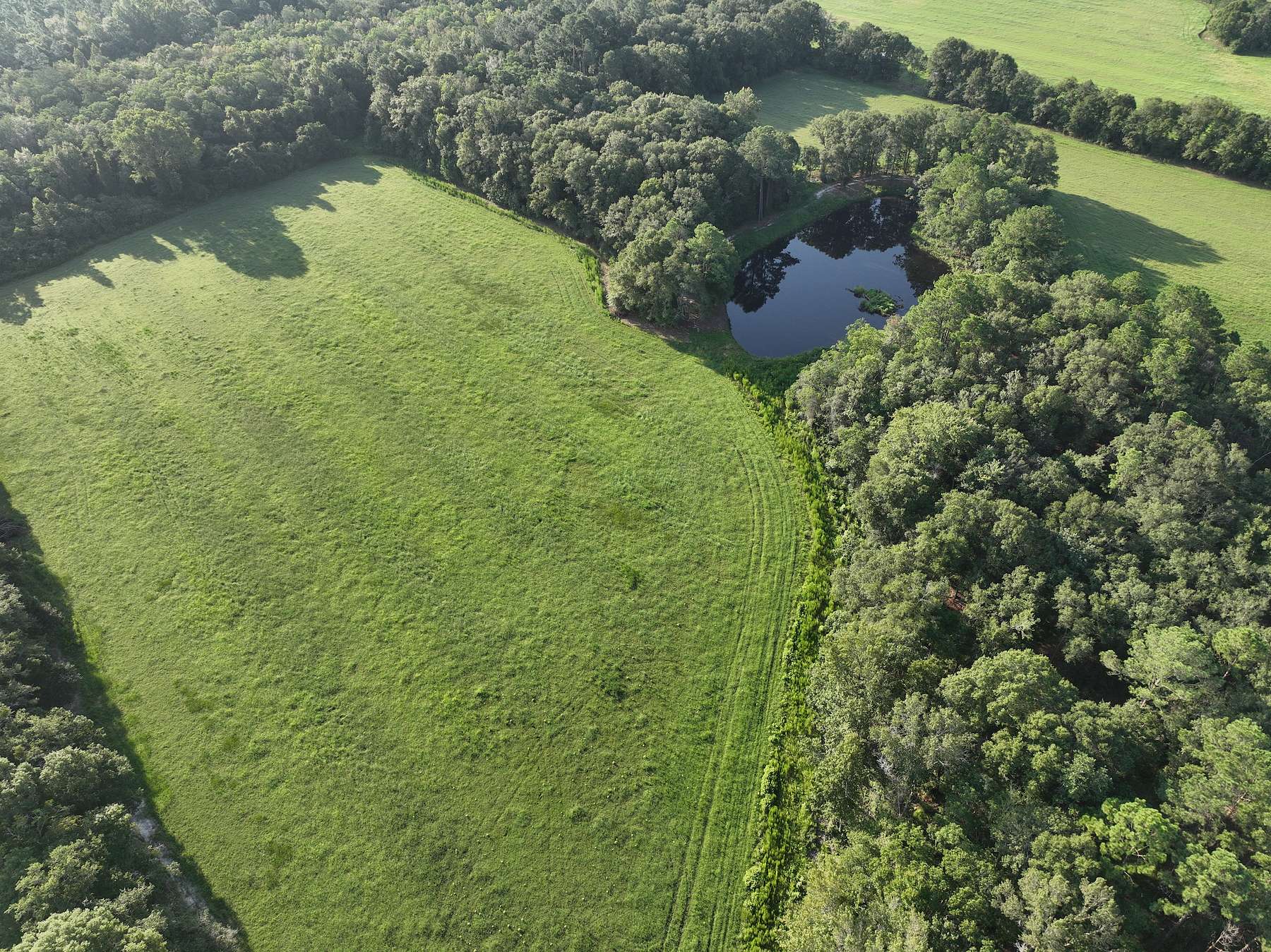 95 Acres of Land for Sale in Hazlehurst, Georgia