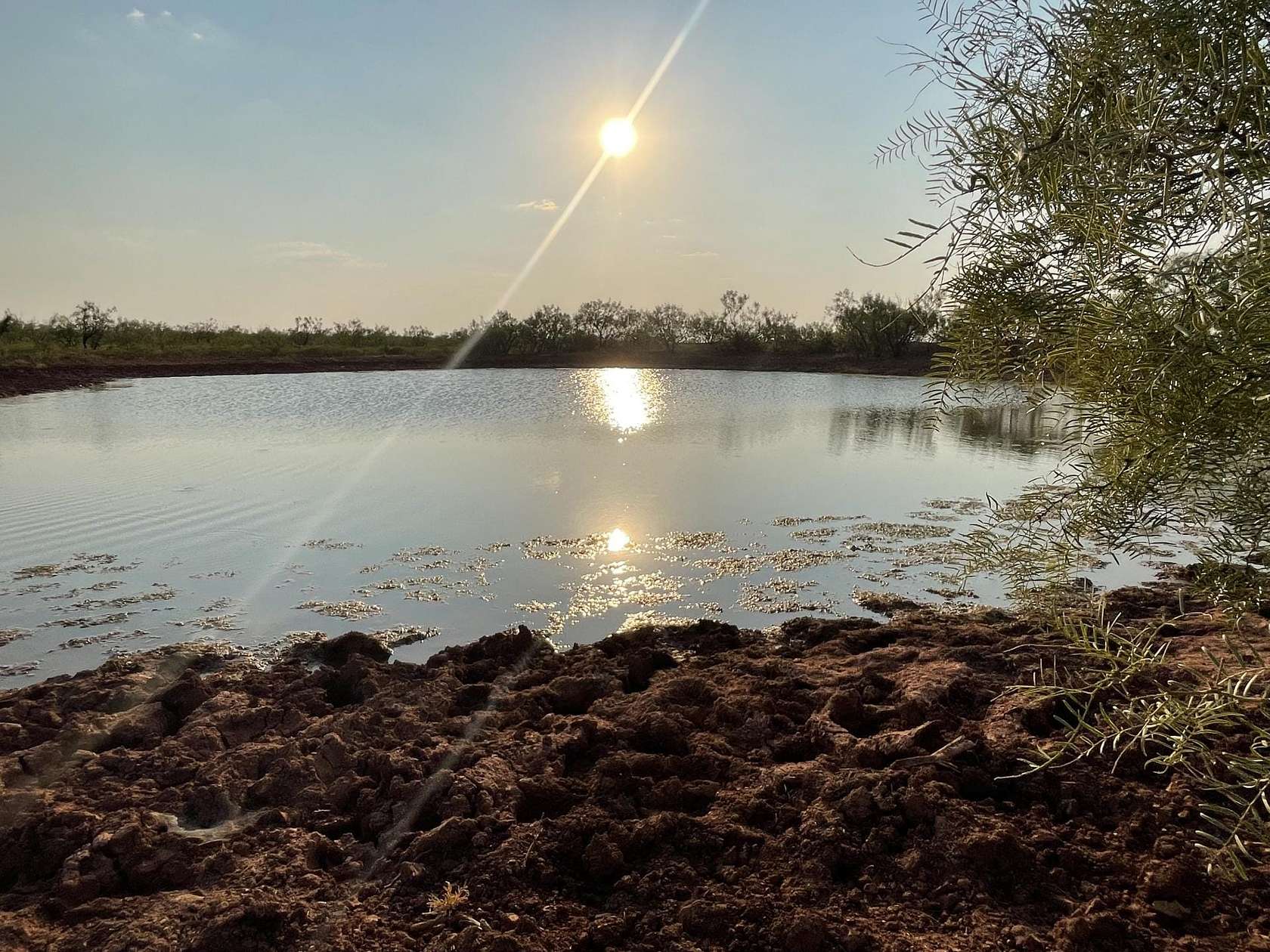 140 Acres of Recreational Land & Farm for Sale in Lueders, Texas