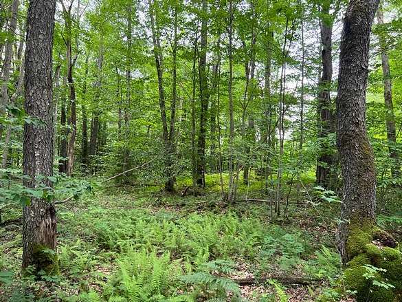16.4 Acres of Recreational Land for Sale in New Bremen, New York