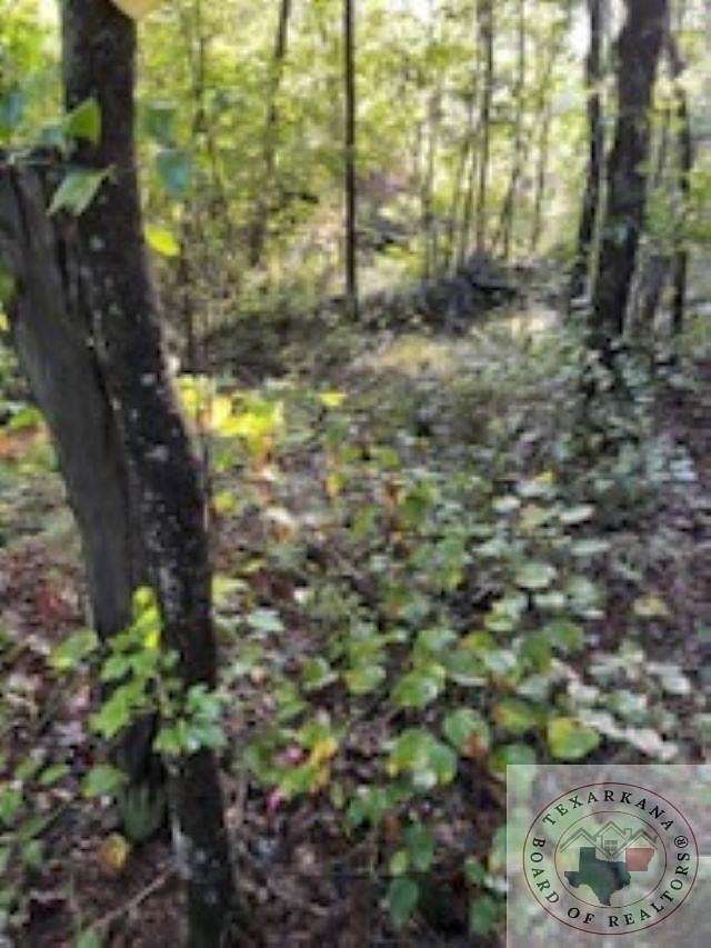 2.78 Acres of Residential Land for Sale in Texarkana, Arkansas