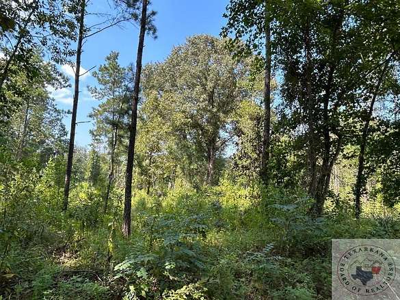 18.2 Acres of Land for Sale in Atlanta, Texas