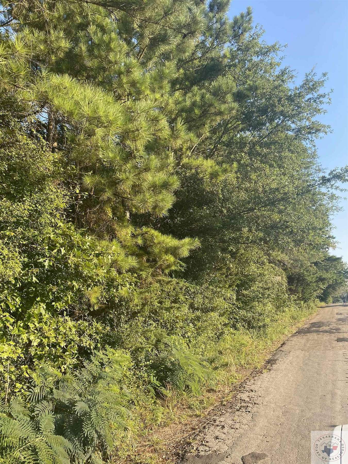 5.3 Acres of Land for Sale in Simms, Texas