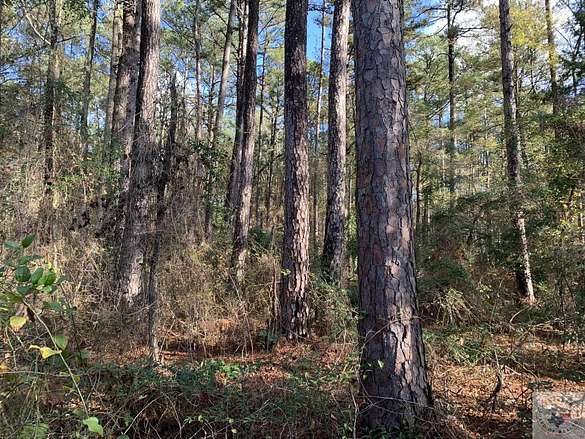 162 Acres of Recreational Land for Sale in Bivins, Texas