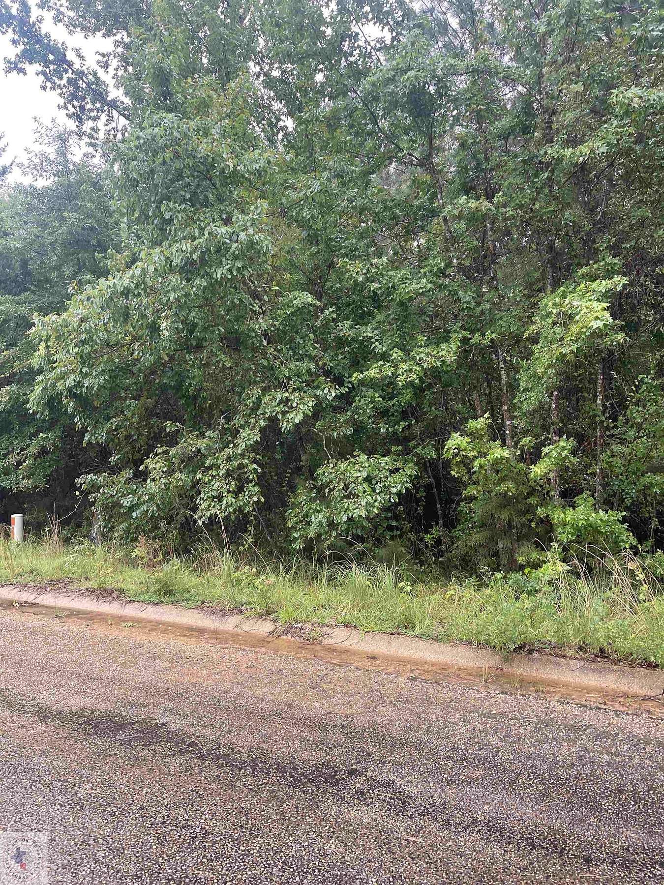 0.34 Acres of Land for Sale in Atlanta, Texas