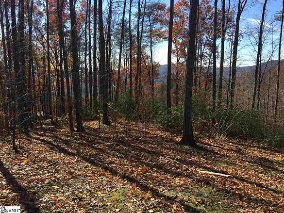 1.6 Acres of Residential Land for Sale in Travelers Rest, South Carolina