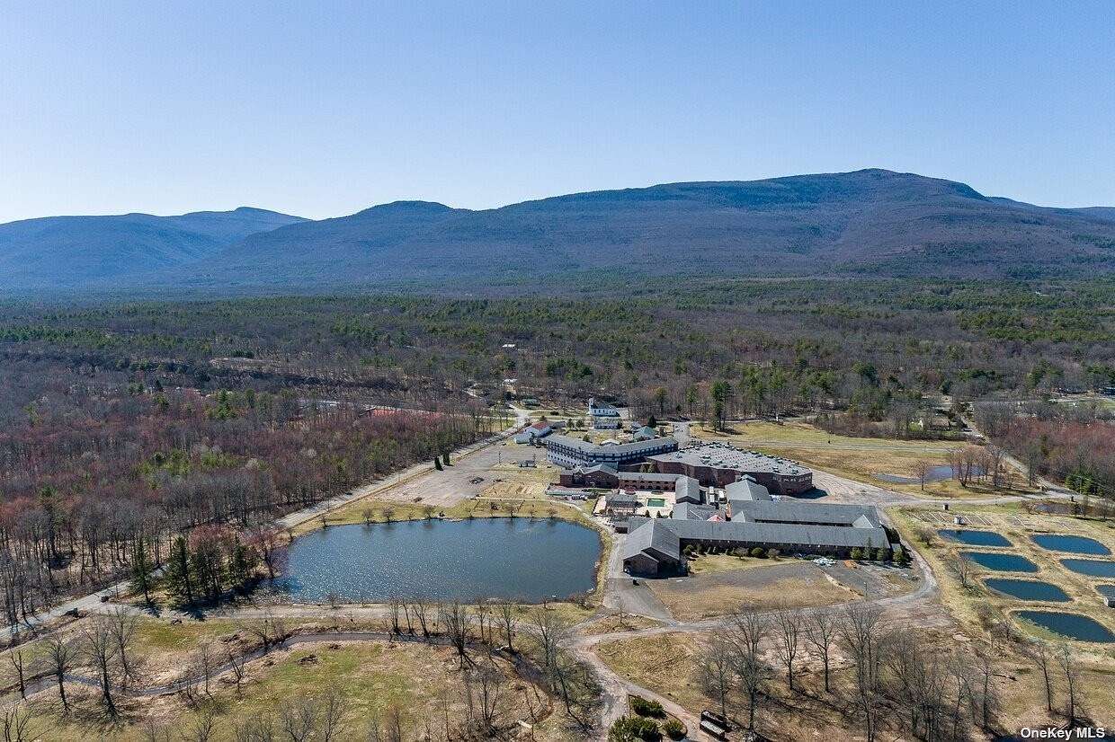 29.6 Acres of Commercial Land for Sale in Catskill Town, New York