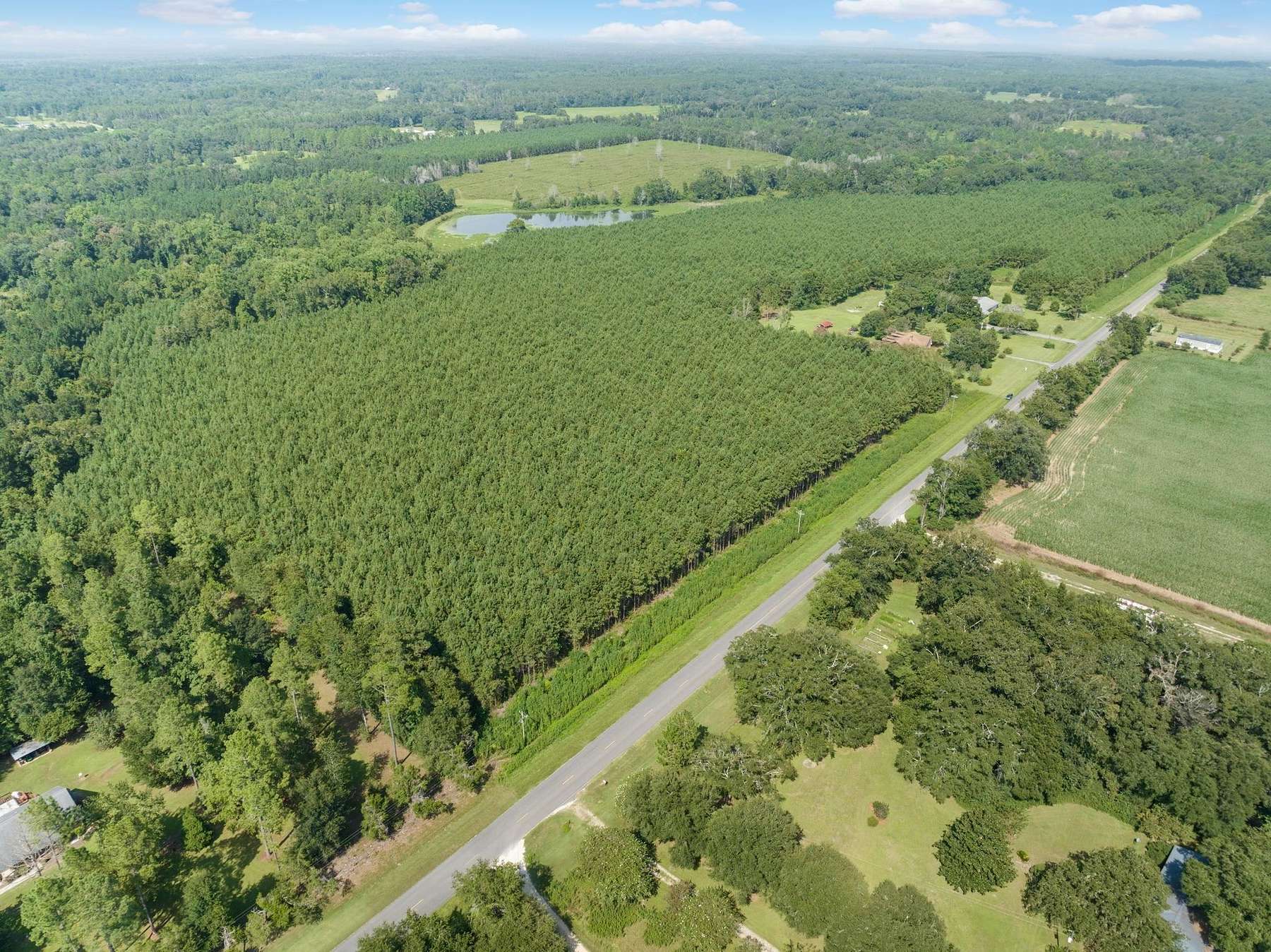 171 Acres of Land for Sale in Monticello, Florida