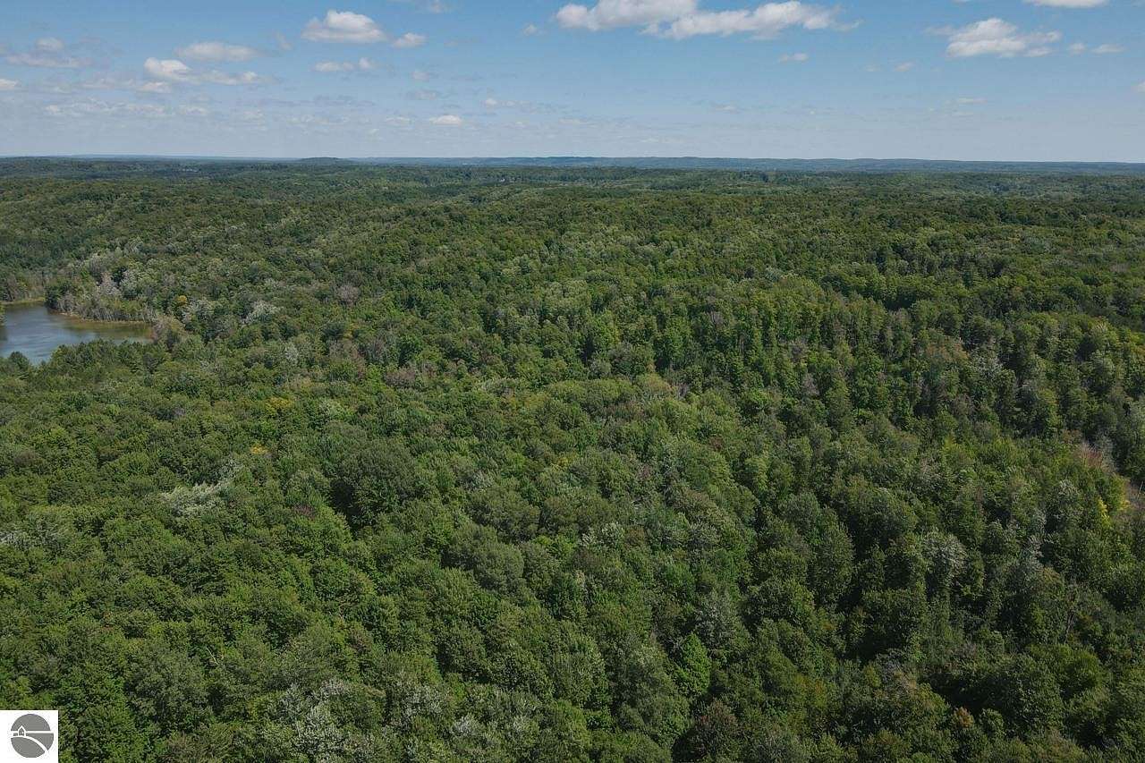 20 Acres of Land for Sale in Mancelona, Michigan
