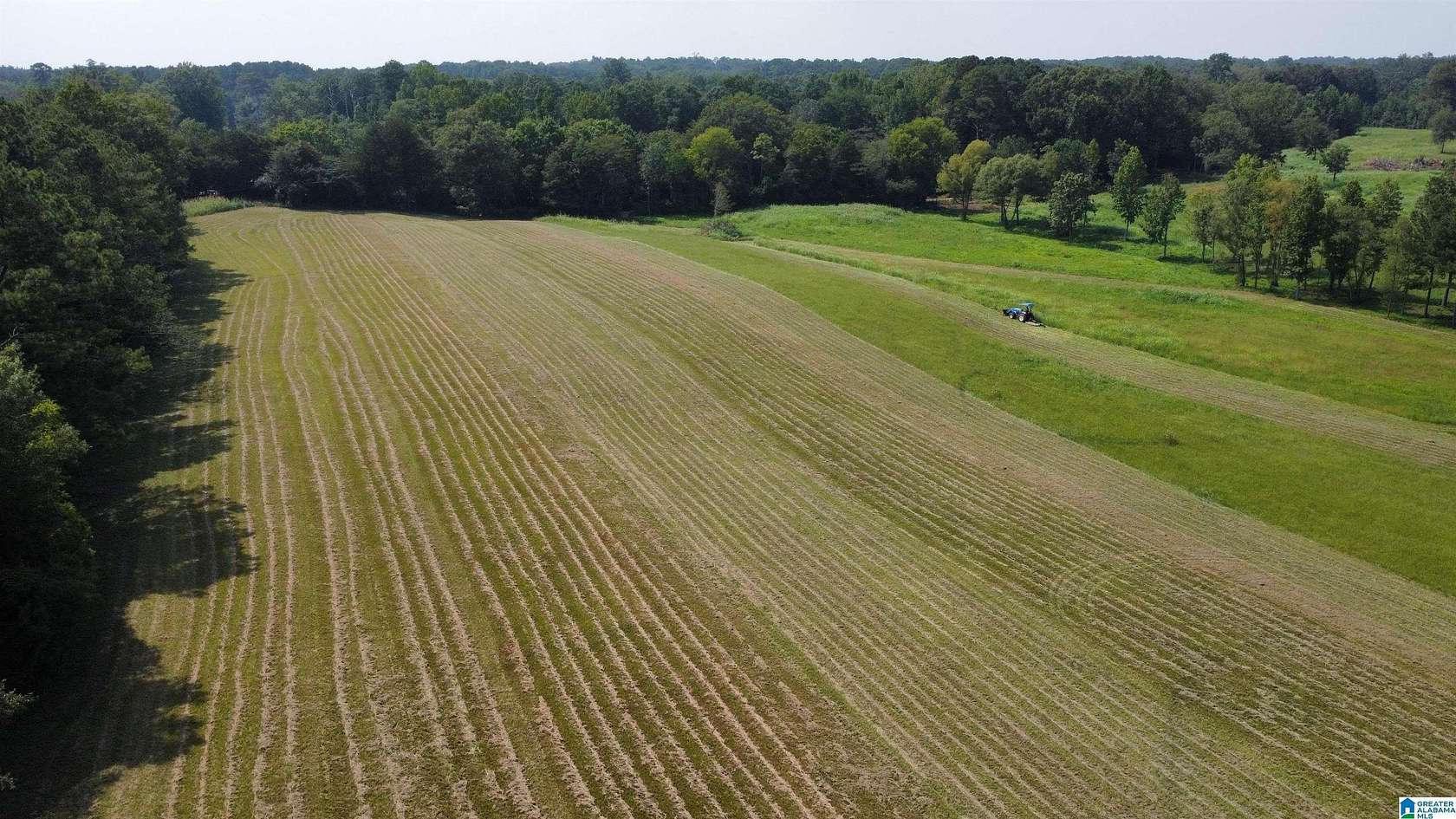 25 Acres of Agricultural Land for Sale in Shelby, Alabama