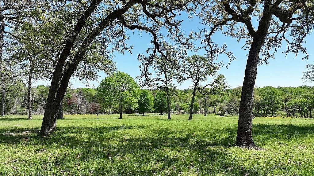 20 Acres of Agricultural Land with Home for Sale in Brenham, Texas