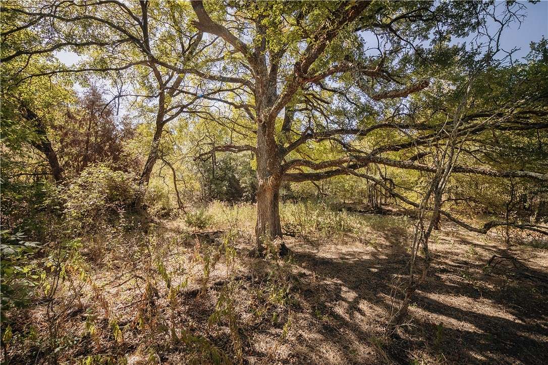 61.1 Acres of Land for Sale in Axtell, Texas