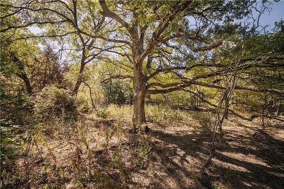 61.1 Acres of Land for Sale in Axtell, Texas